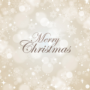 merry_christmas.png